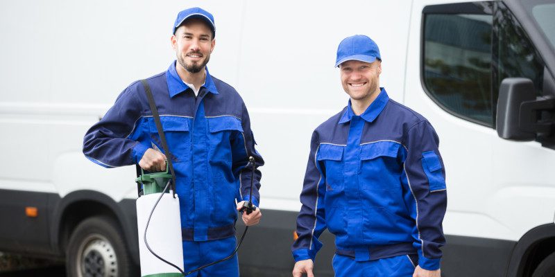 Real Estate Pest Inspection in Mount Airy, North Carolina