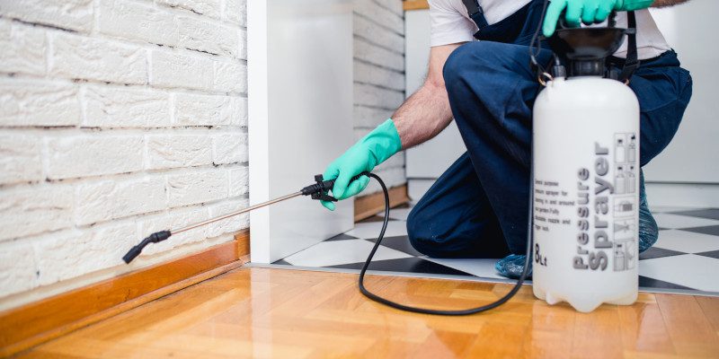 Indoor Pest Control
