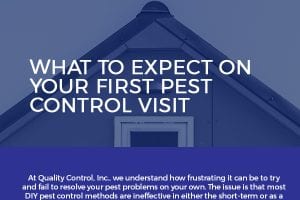 What to Expect on Your First Pest Control Visit [infographic]