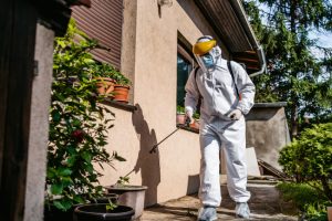 Debunking Common Pest Control Myths for Informed Decision-Making